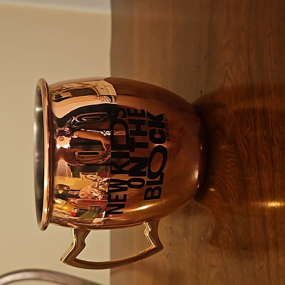 New Kids on the Block Moscow Mule Mug